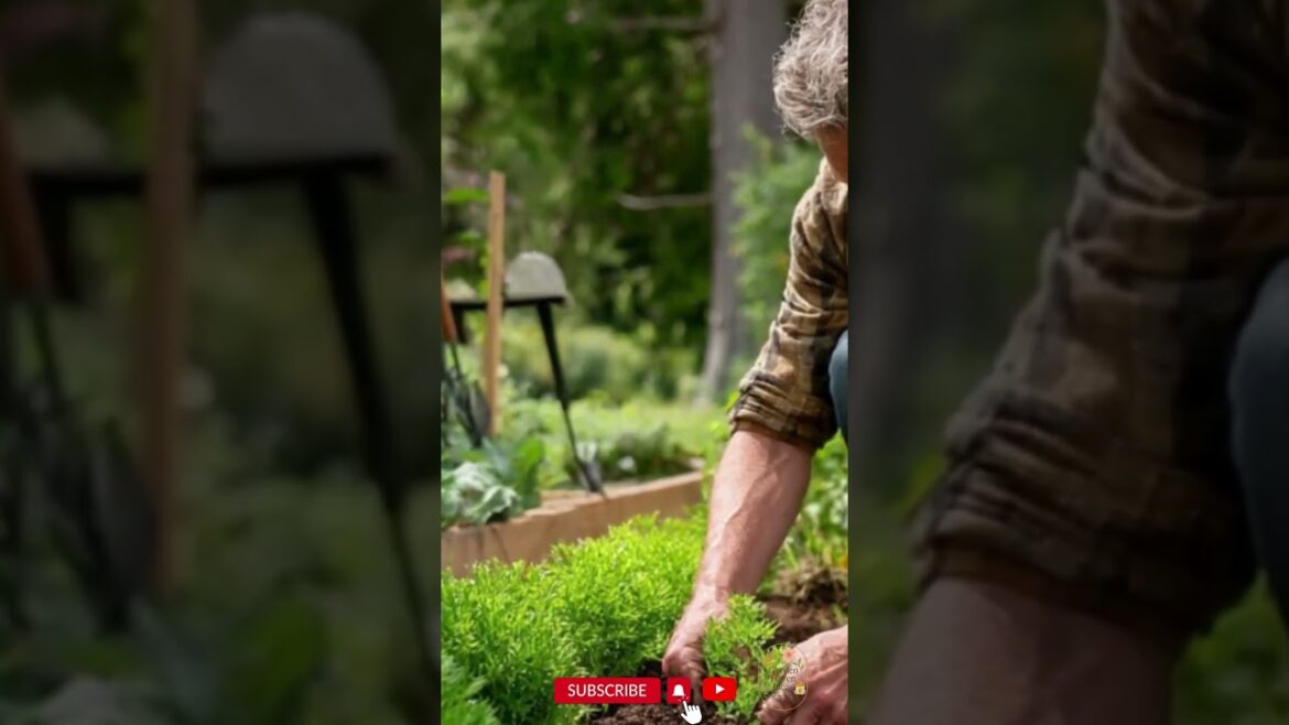 πΏπ
Edible Landscape Design Grow Your Own Food Paradise in Your Front Yard ππ‘ πΏπ
Edible Landscape Design Grow Your Own Food Paradise in Your Front Yard ππ‘