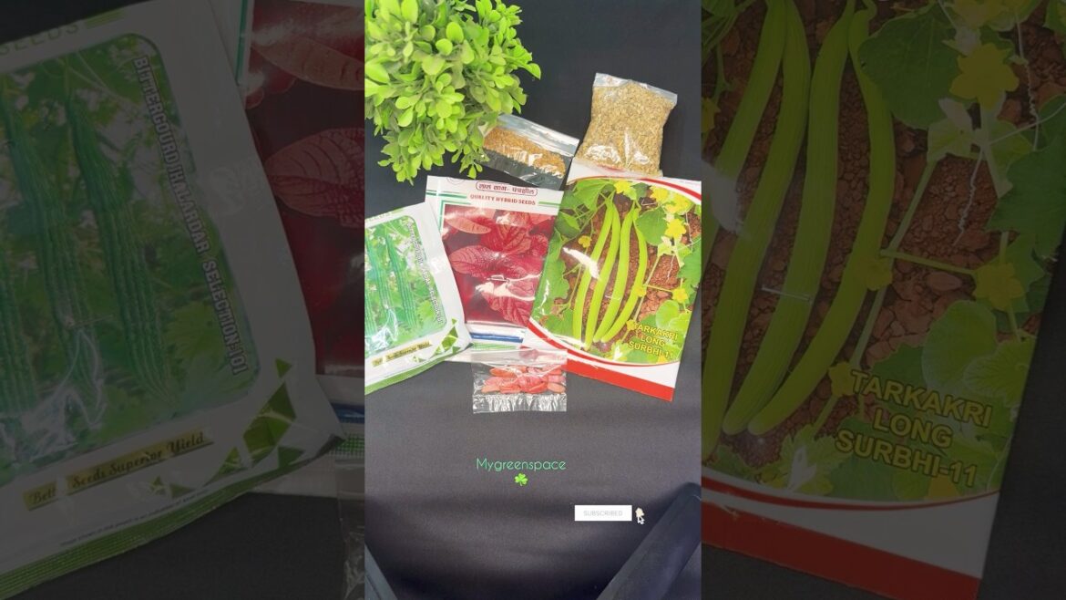 March me ye sabji zaroor ugaye 🌱 | Easy gardening tips #kitchengarden #gardenhacks #gardentips March me ye sabji zaroor ugaye 🌱 | Easy gardening tips #kitchengarden #gardenhacks #gardentips