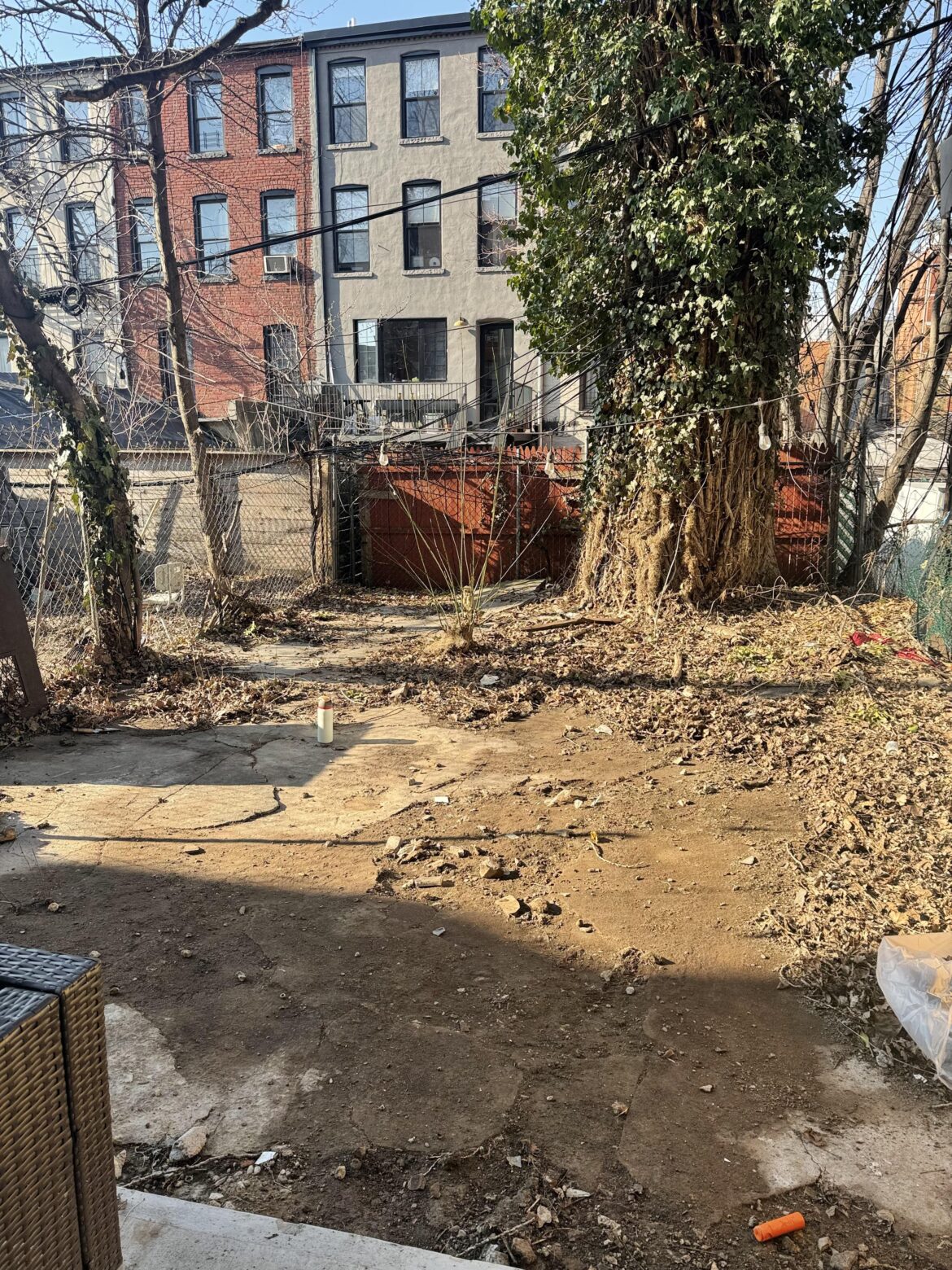 Large backyard in Brooklyn with a small(ish) budget Large backyard in Brooklyn with a small(ish) budget