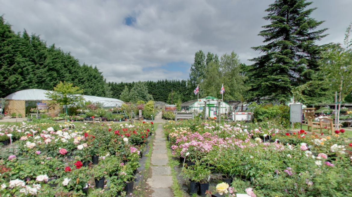 ‘Amazing news’ as Surrey family-run garden centre saved for now after 144 home plans rejected Surrey Live