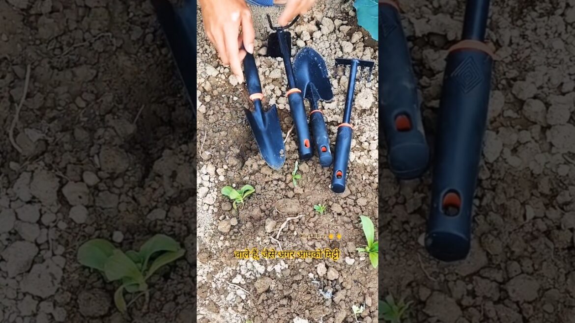 Heavy Duty Garden Hand Tools Set #shorts #tools #garden