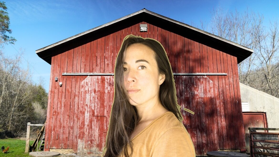 Why I left ‘success’ behind to homestead in a National Forest | the slow road home Why I left ‘success’ behind to homestead in a National Forest | the slow road home