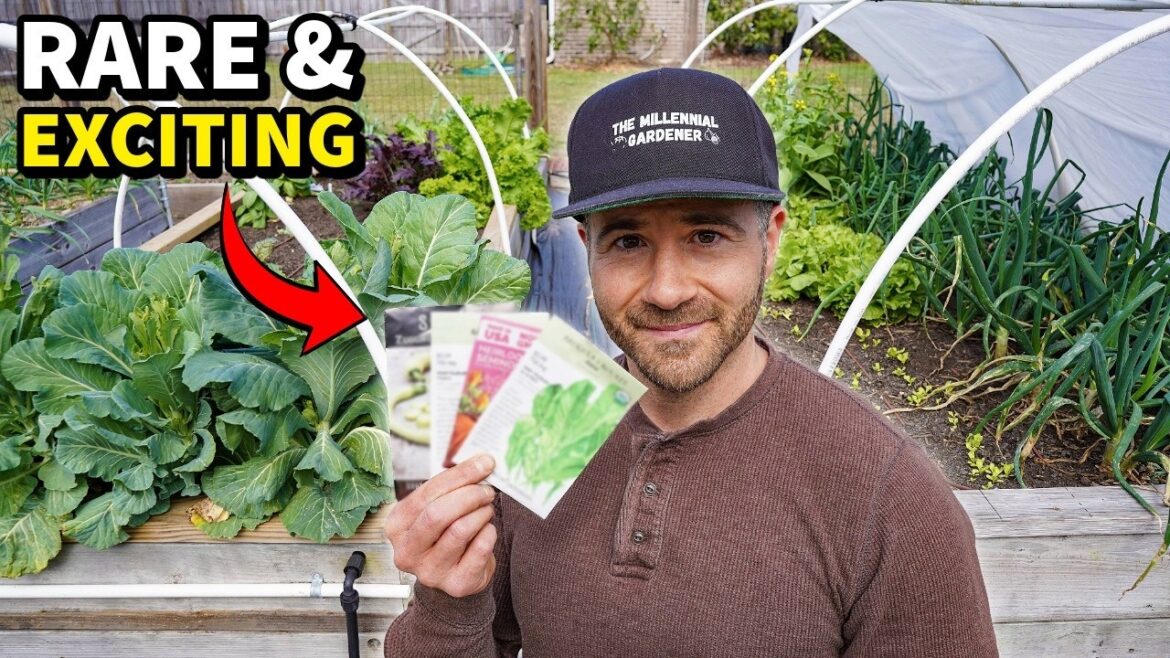 8 Rare and Exciting Veggies That Bring Fun Back to Gardening! 8 Rare and Exciting Veggies That Bring Fun Back to Gardening!