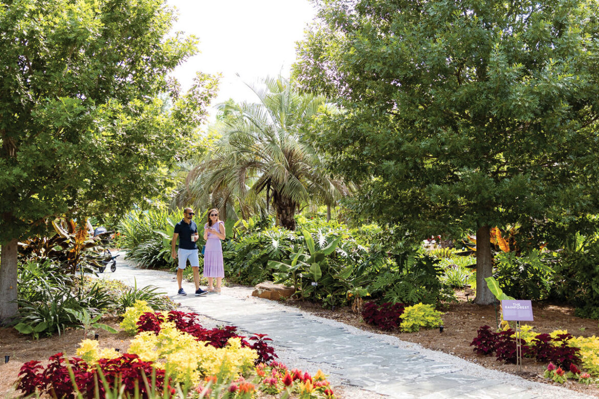 How the Houston Botanic Garden Is Adapting to a Changing Climate How the Houston Botanic Garden Is Adapting to a Changing Climate