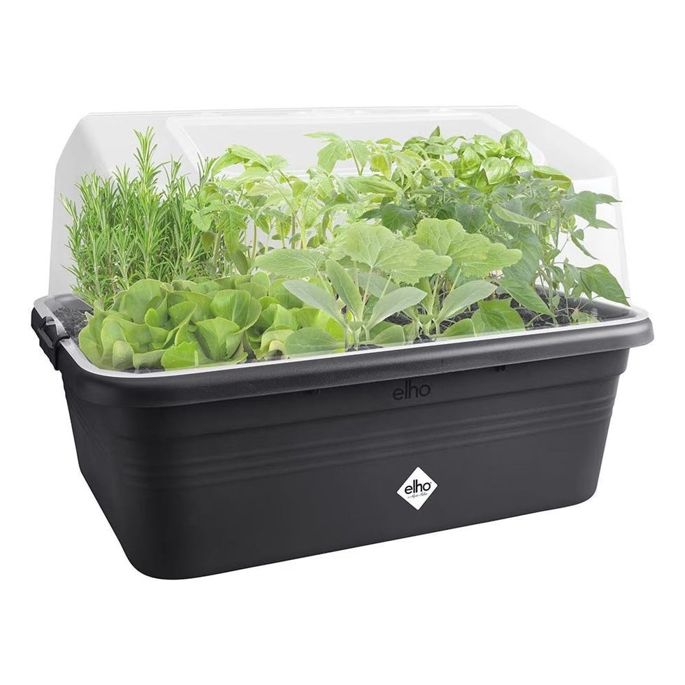 Large all in one kitchen garden grow house