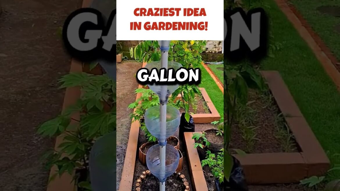 Craziest Idea In Gardening!