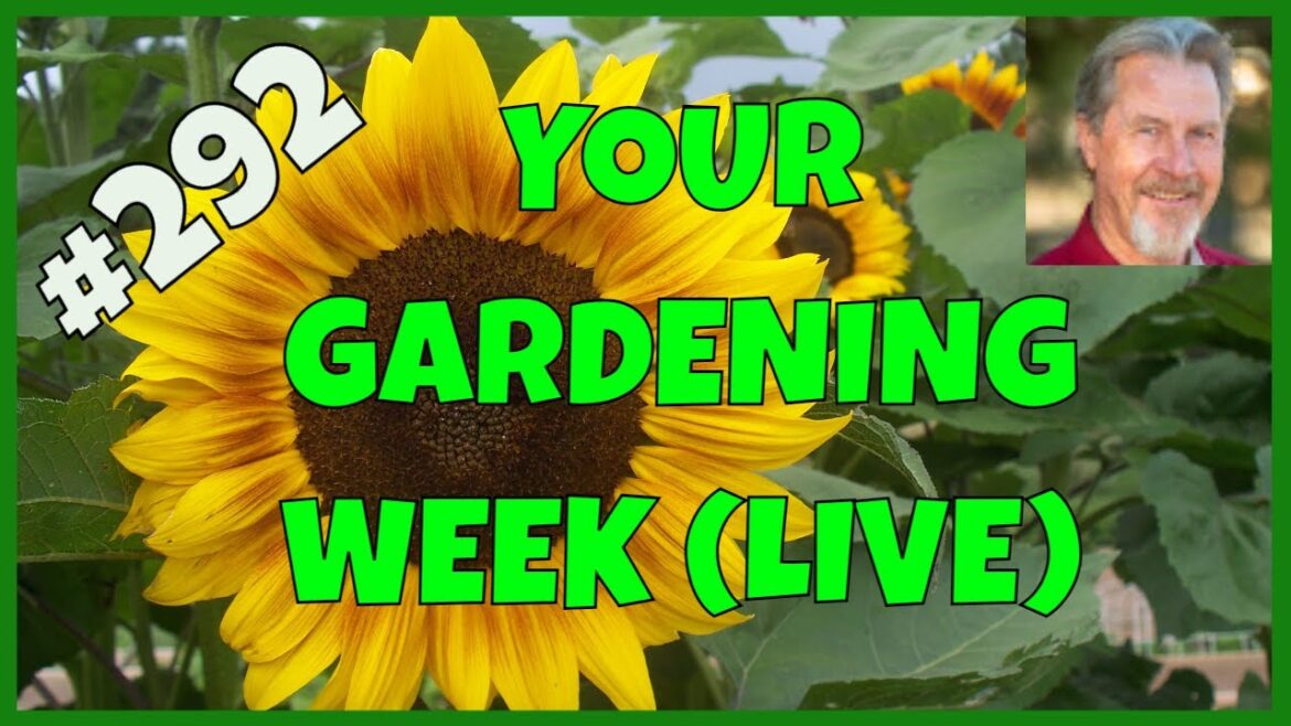 Gardening Basics (Q&A) Gardening Basics (Q&A)
