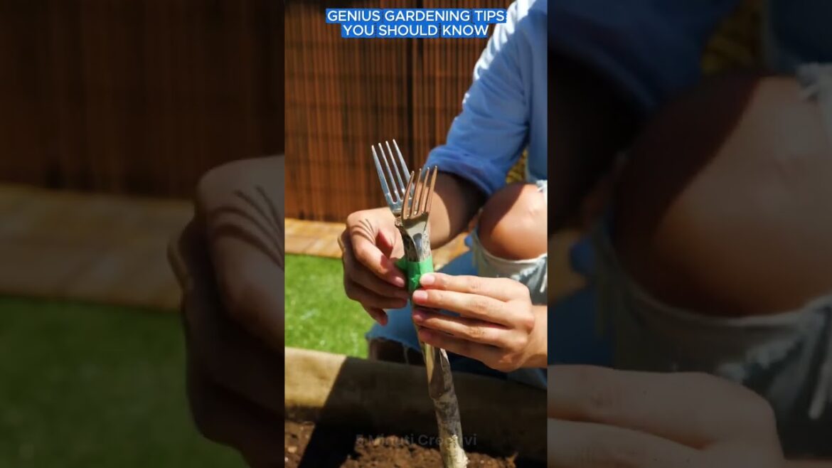 Genius gardening tips you should know #gardentips #tips #adamrose