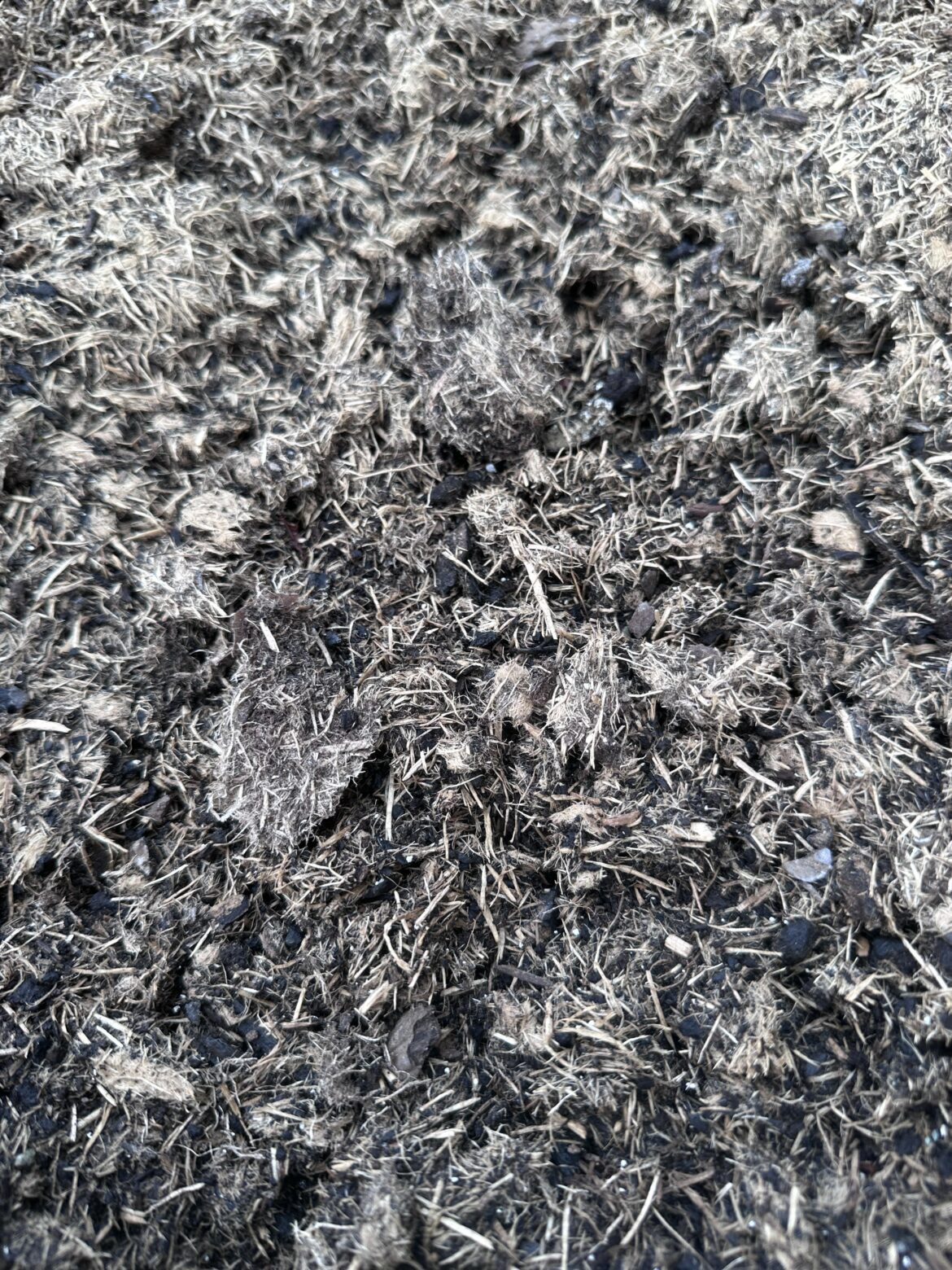 Multi purpose compost