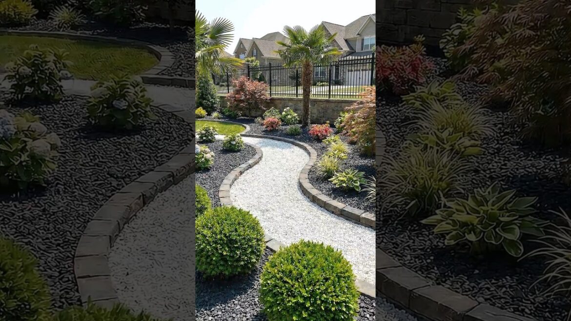 Curved Garden Path Transformation 🌿 | Modern Backyard Design
