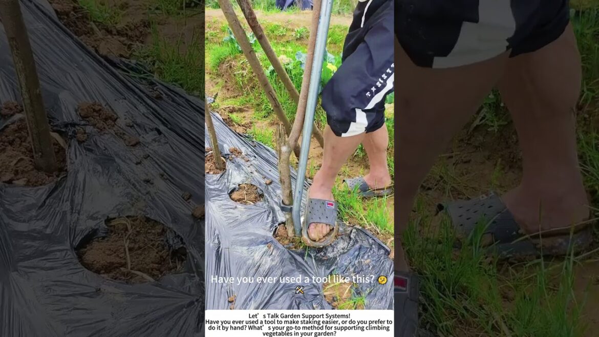 DIY Pole Driver β Easy Garden Staking for Climbing Vegetables! π±π οΈ DIY Pole Driver β Easy Garden Staking for Climbing Vegetables! π±π οΈ