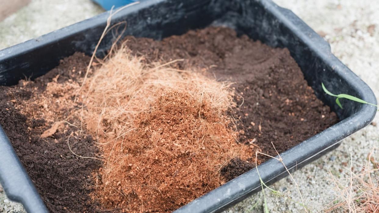 A black plastic tray filled with potting soil and coconut coir, perfect for sowing seeds or planting cuttings, representing gardening and plant care.