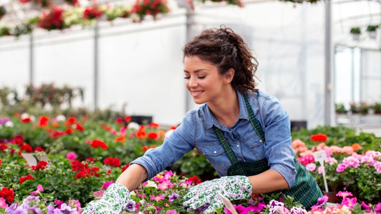 Woman in nursery plant working with flowers