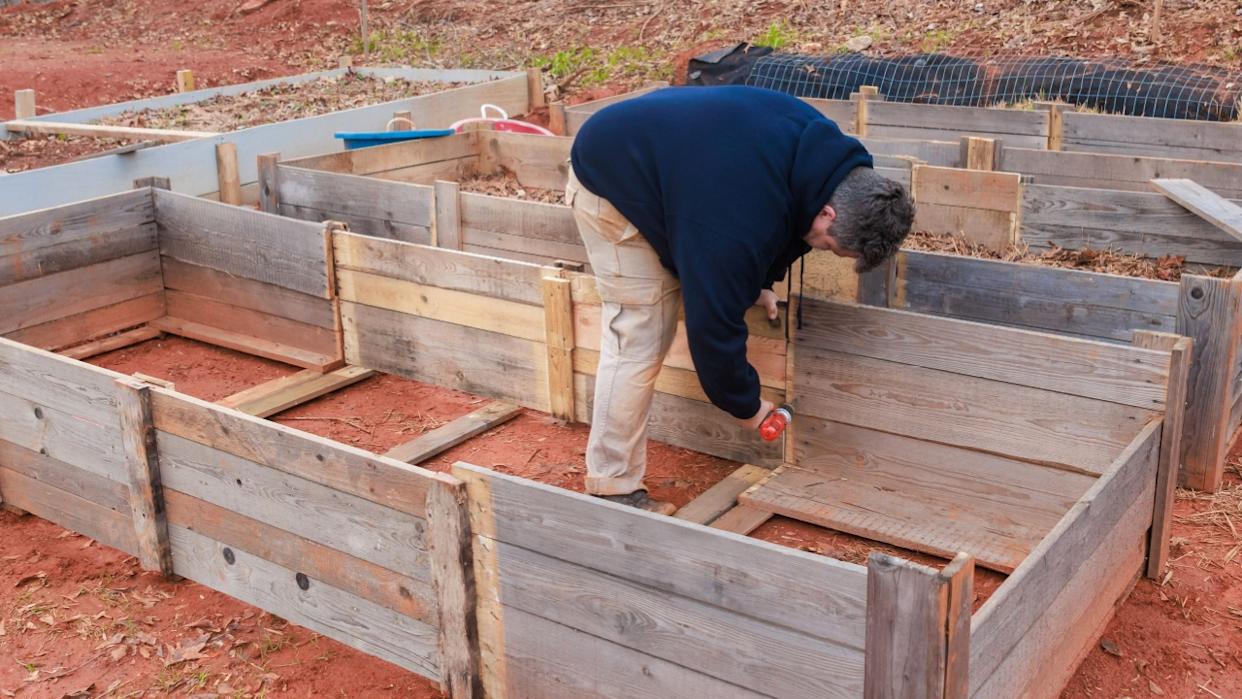 The men are building a new wooden frame for a raised garden bed.