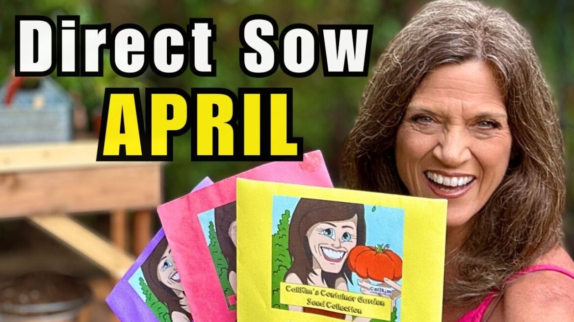 Direct Sow These in April (Easy Vegetables to Plant Now)