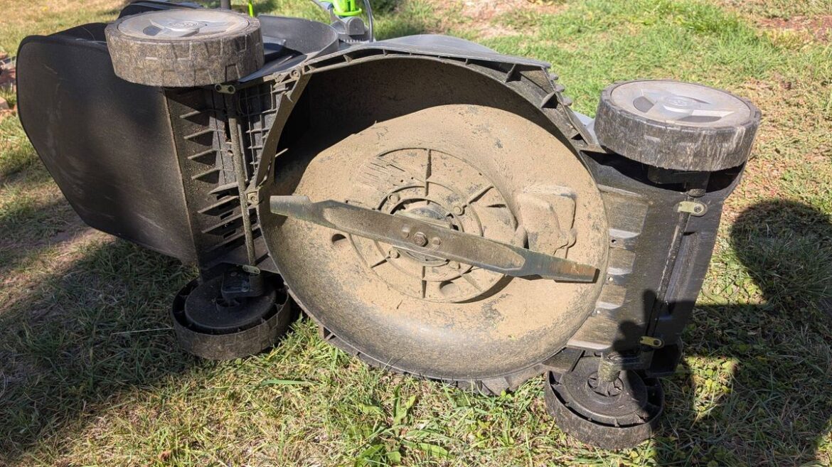 Brits urged to check lawn mowers now or risk patchy grass this summer Daily Mirror