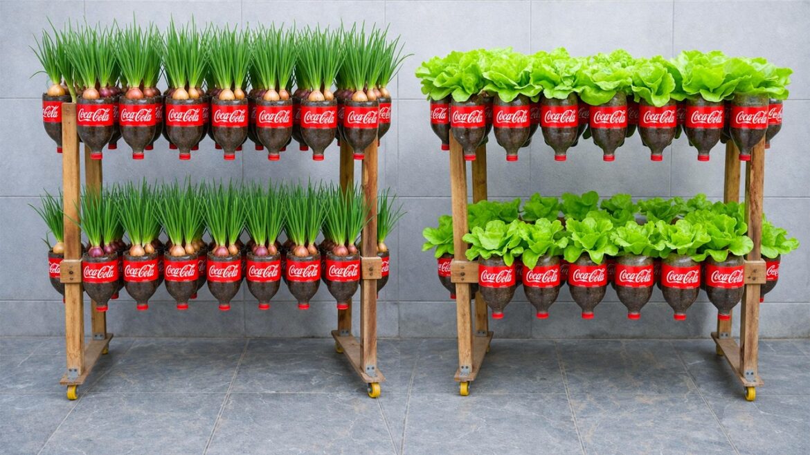 DIY Vertical Garden from Plastic Bottles – Grow Lettuce, Green onions at Home Easily DIY Vertical Garden from Plastic Bottles - Grow Lettuce, Green onions at Home Easily