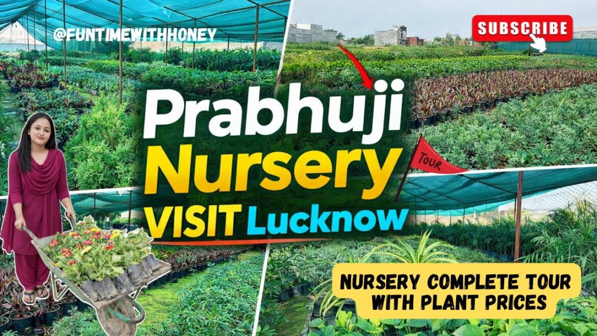 Prabhuji Nursery Visit Lucknow | Full Tour with Plant Prices & Gardening Tips