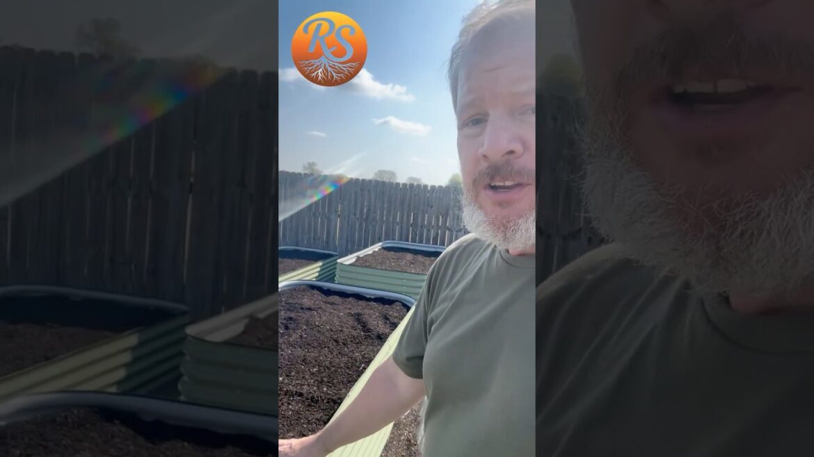 Building up raised garden beds #raisedbedgarden Building up raised garden beds #raisedbedgarden