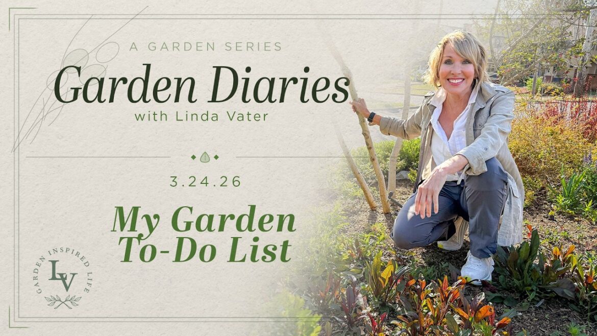 My Garden To-Do List Right Now: Wins, Busts, & Wacky Weather 🌷☀️