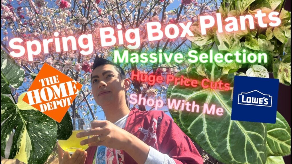Spring 2026 Plant Price Drops Big Box Store Plant Shopping Home Depot ...