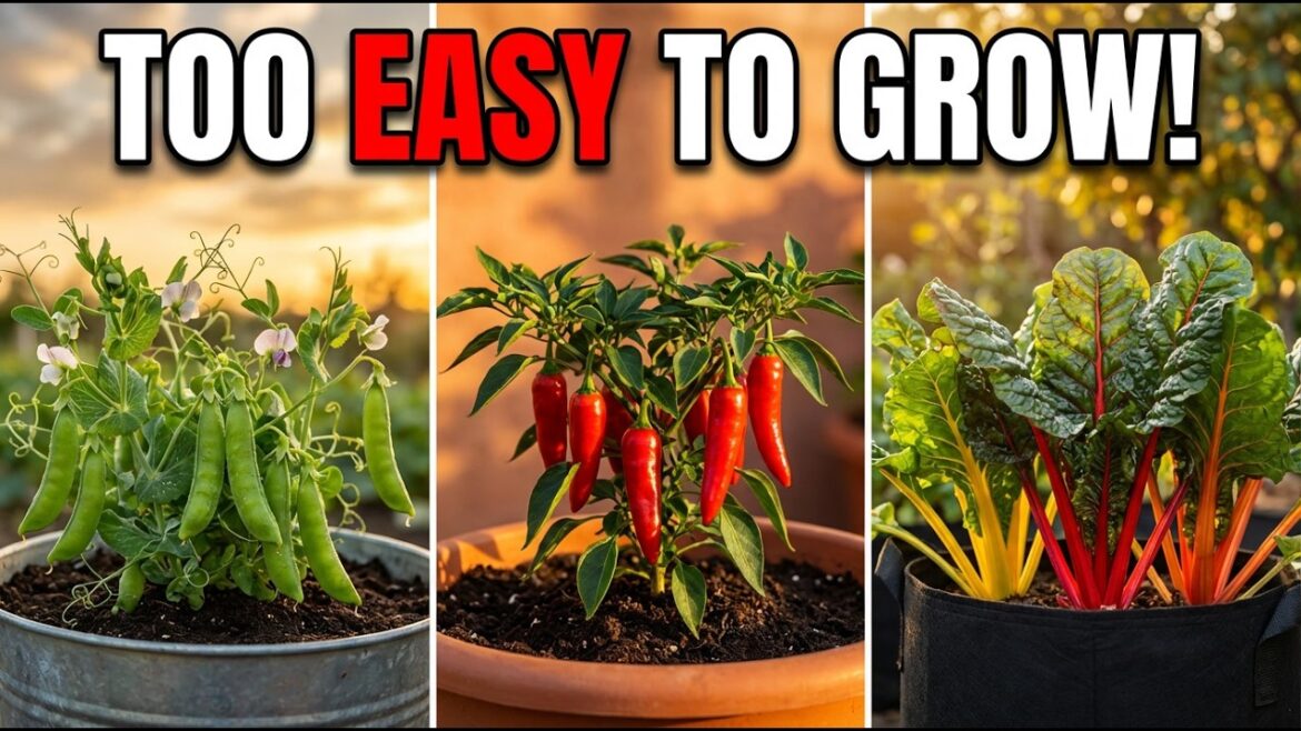 20 Vegetables That Are Too EASY to Grow — Perfect for Lazy Gardeners!