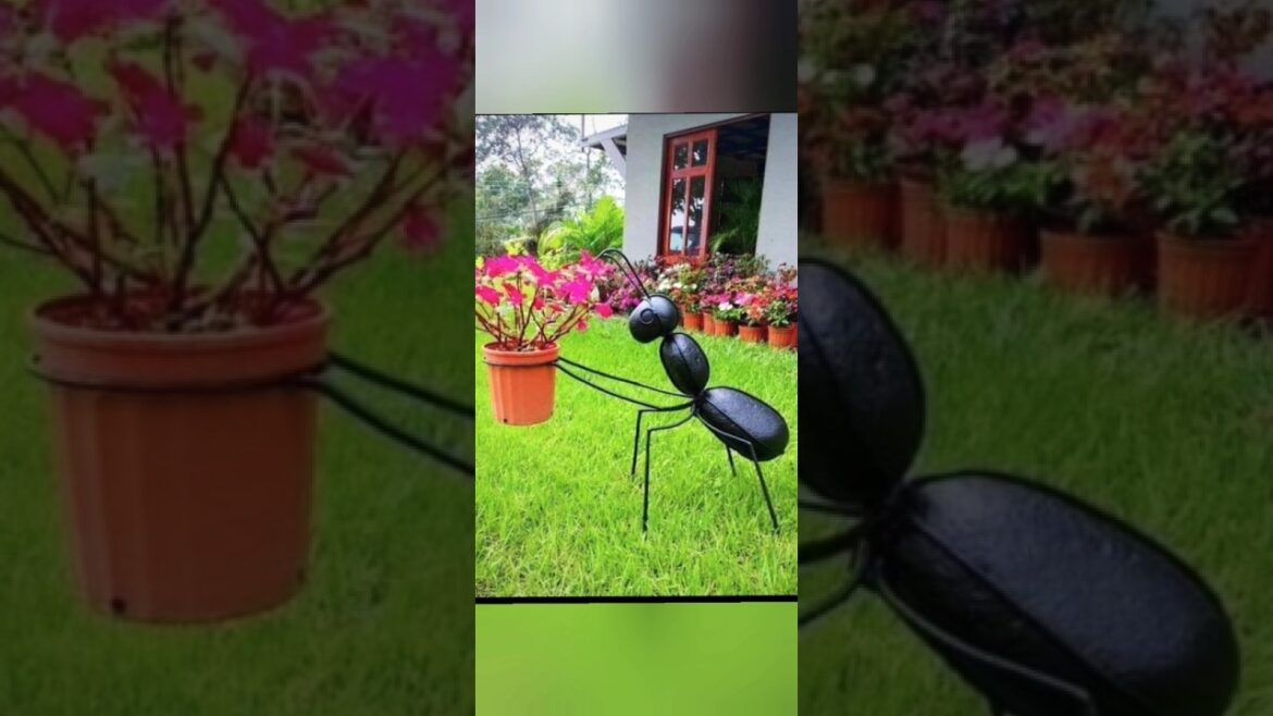 Garden decor💡 ideas #trending #garden #homedecor #balconygarden #shorts #plantlover #trending #rain