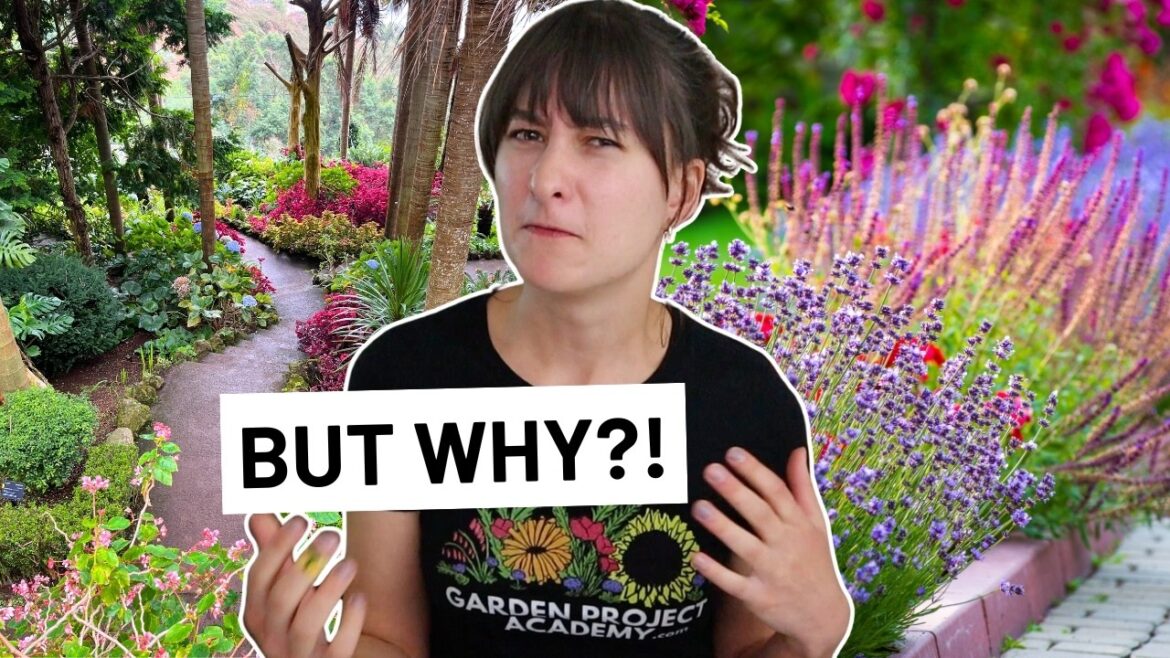 What I don’t like about landscape design 🪴 (And you shouldn’t either) What I don't like about landscape design 🪴 (And you shouldn't either)