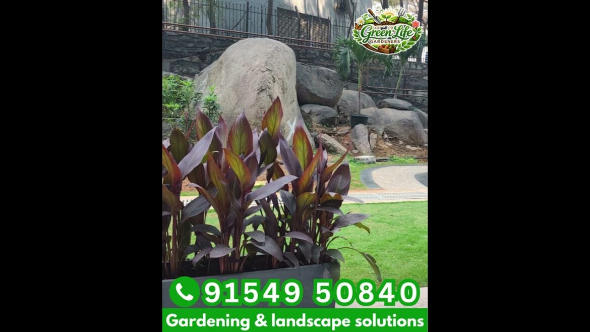 Modern Vertical Garden Design | Green Wall Installation | Gardening & Landscape Solutions Modern Vertical Garden Design | Green Wall Installation | Gardening & Landscape Solutions