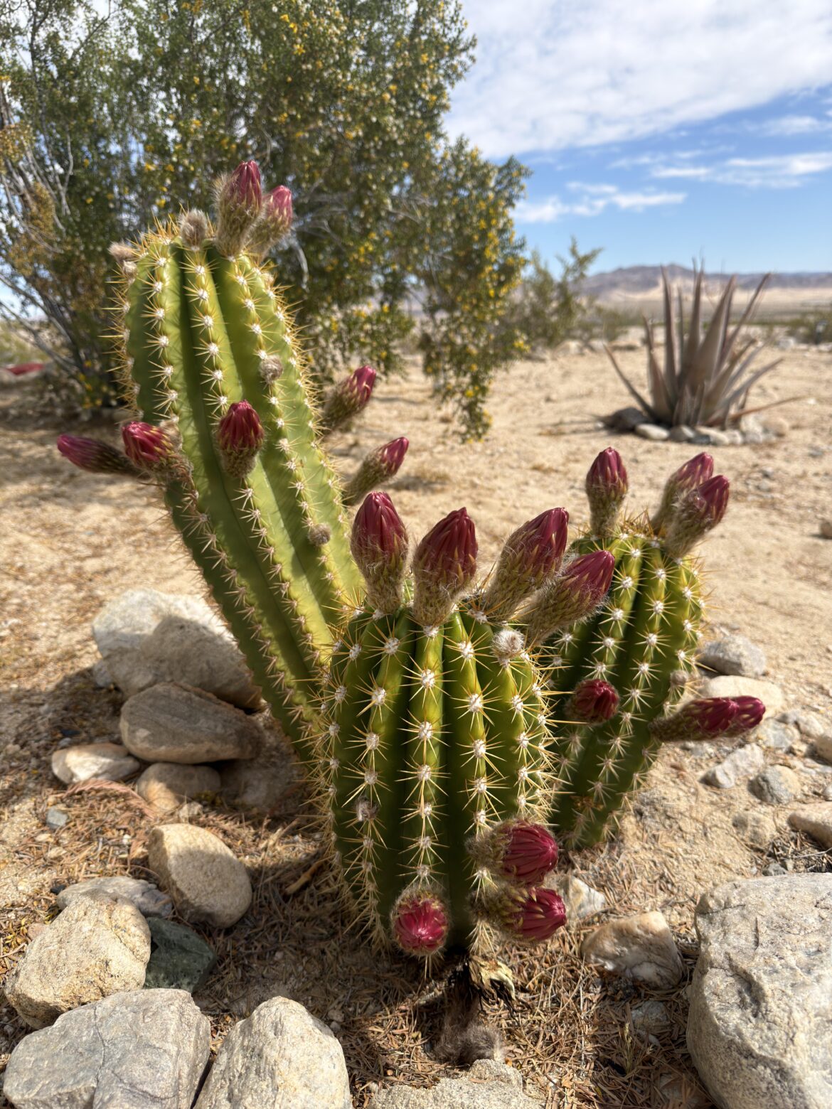 This beauty is bringing it!