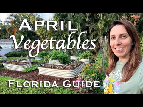 What to Plant in April in Florida | Vegetable Garden Guide What to Plant in April in Florida | Vegetable Garden Guide