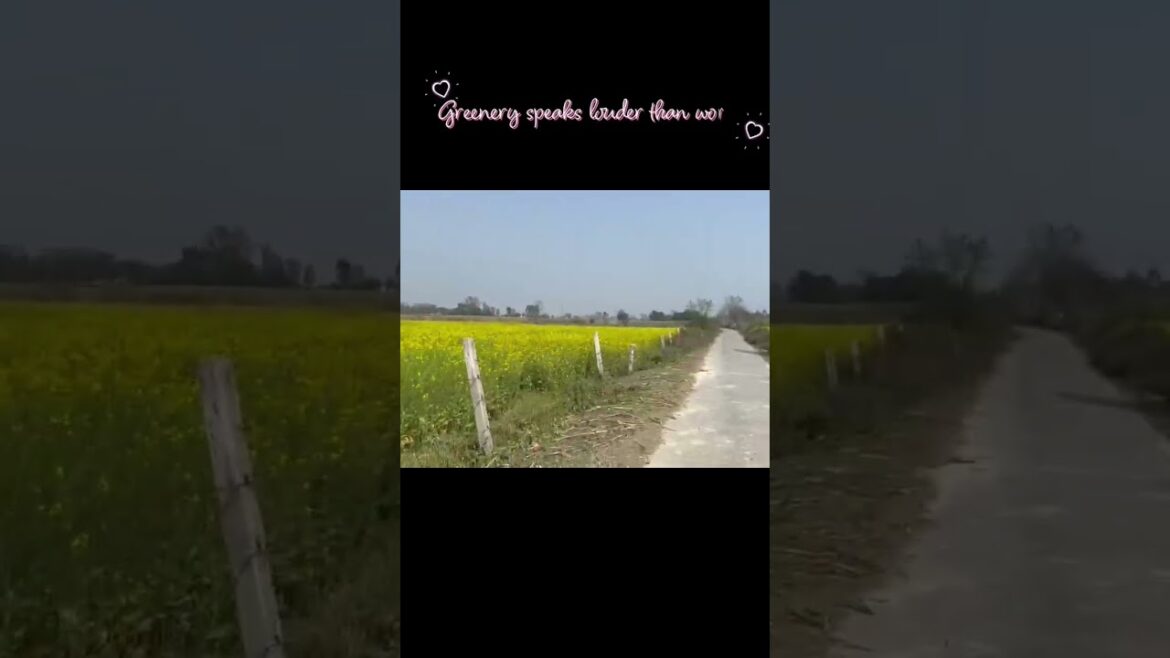 greenery speaks louder than words #nature #naturebeauty #shorts #youtubeshorts #ytshorts #vlog #fyp
