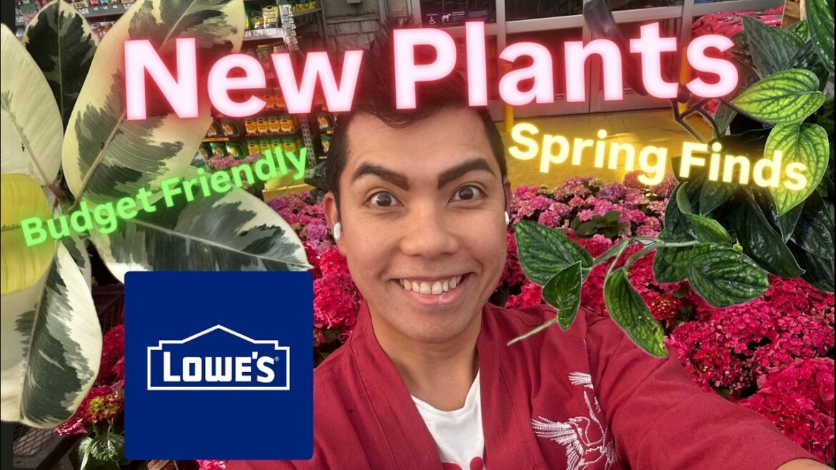 Lowe’s is Full for Spring 2026 Big Box Store Plant Shopping NEW Plant Finds Prices Have Dropped! Lowe's is Full for Spring 2026 Big Box Store Plant Shopping NEW Plant Finds Prices Have Dropped!