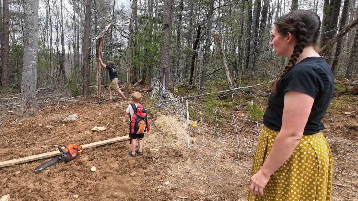 Finally Starting the Projects That Matter | Clearing Trees & Prepping the Garden Finally Starting the Projects That Matter | Clearing Trees & Prepping the Garden