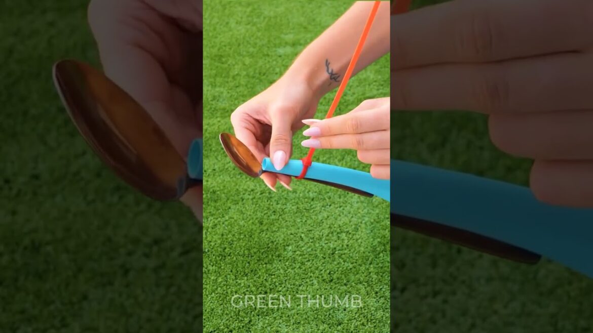 Planting Hacks for Thriving Garden 🌷 Planting Hacks for Thriving Garden 🌷