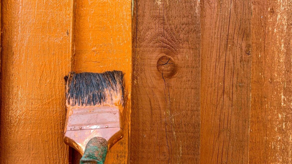 ‘Simple yet effective’ garden upgrades under £50 to transform your space this spring Devon Live