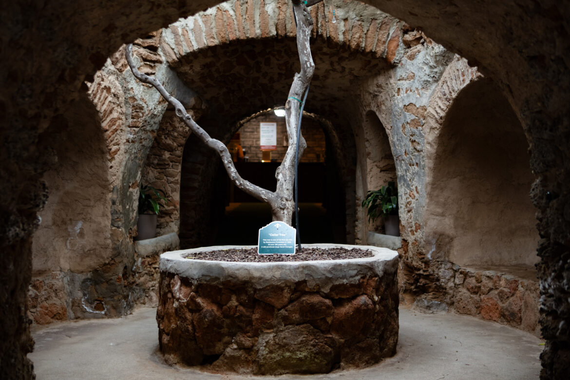 Central Valley’s surreal underground attraction reopens for the season Central Valley's surreal underground attraction reopens for the season