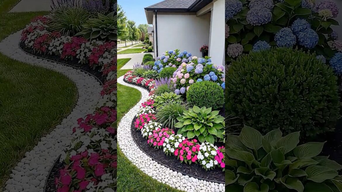 Plain Front Yard to Colorful Foundation Garden 🌸🏡 #shorts