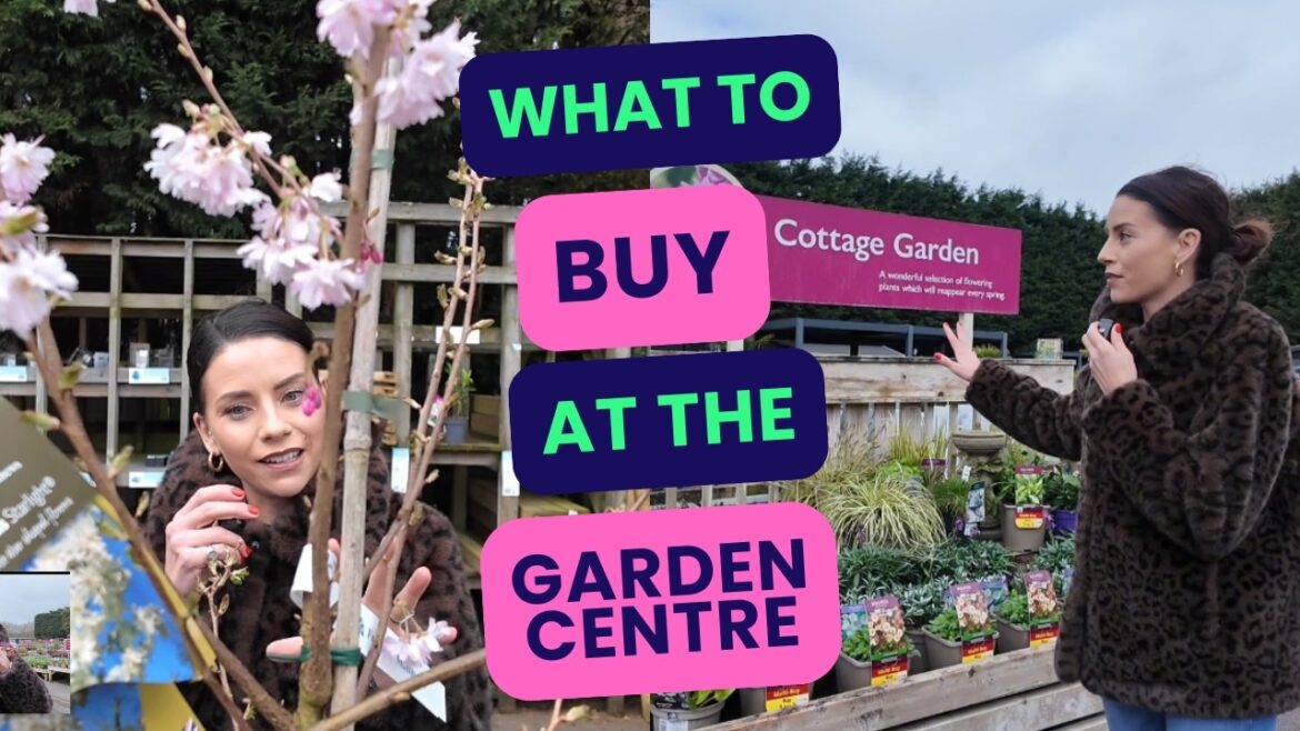What To Buy At The Garden Centre Now What To Buy At The Garden Centre Now