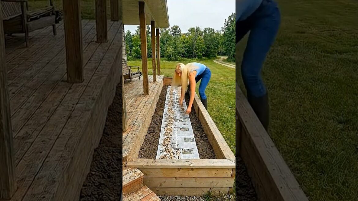 Front Porch Garden Bed Makeover #shorts #ytshorts #garden #porch #yard #plants #flowers #timelapse