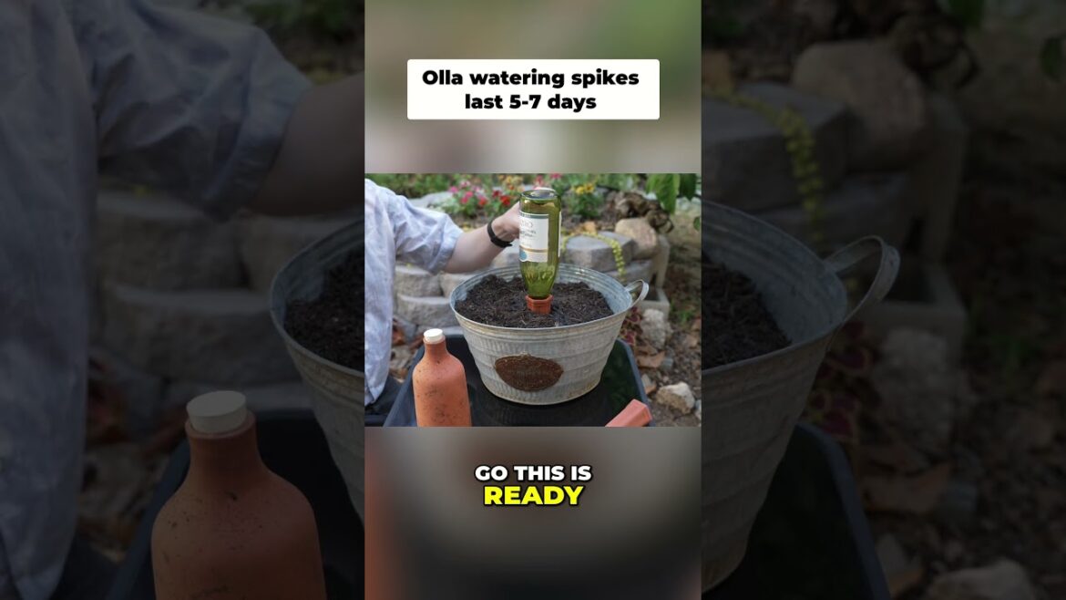 Self Watering Pot Hack – Easy Plant Care! Self Watering Pot Hack - Easy Plant Care!