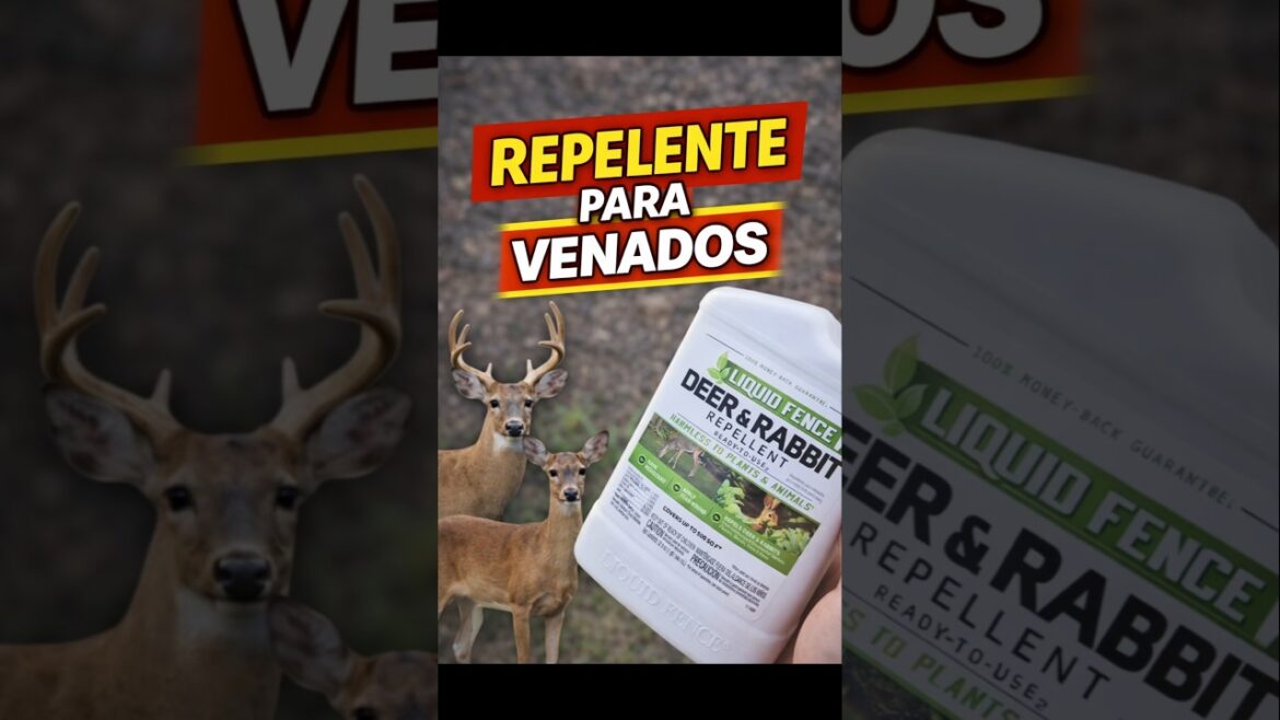 Repelente para venados y conejos #garden  #repeal #deer #plantas #spring #tips