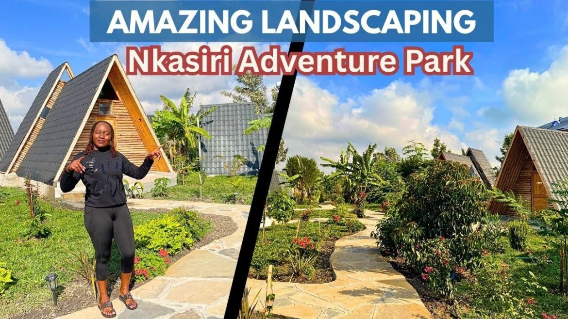 Stunning Landscaping Ideas & Garden Tour π΄πΌ | How Nkasiri Turned a Desert Into a Green Paradise Stunning Landscaping Ideas & Garden Tour π΄πΌ | How Nkasiri Turned a Desert Into a Green Paradise