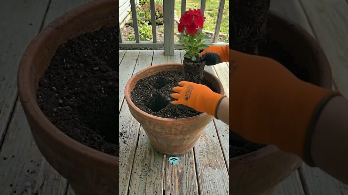 Easy Trick for Perfect Planting Holes