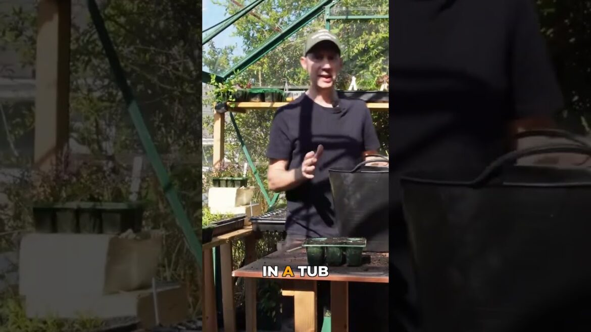 No Garden? Grow Cucumbers in a Container Tub #gardening #containergardening #tips No Garden? Grow Cucumbers in a Container Tub #gardening #containergardening #tips
