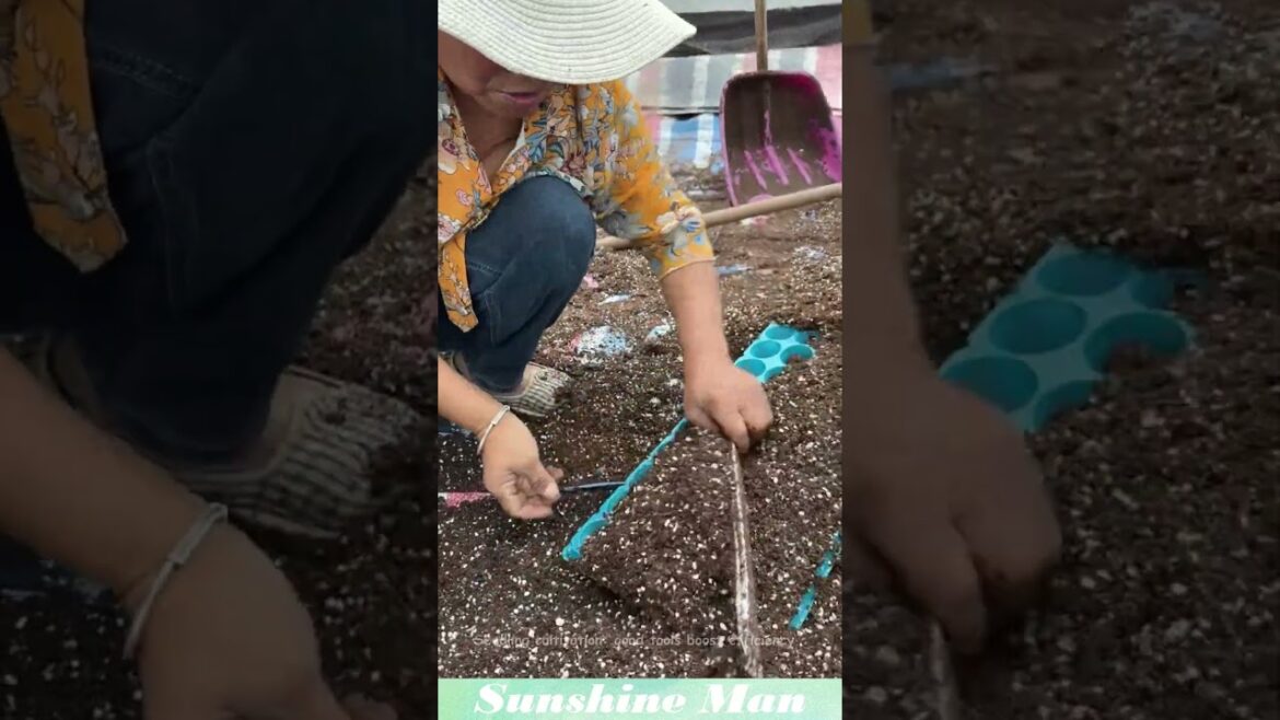 Seedling cultivation: good tools boost efficiency. #gardening #tools