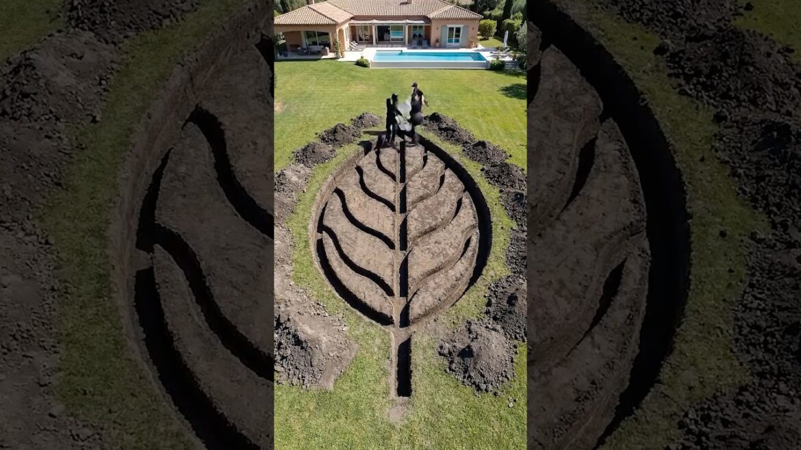 How Smart Landscape Design Turns a Backyard Into a Living Water Garden How Smart Landscape Design Turns a Backyard Into a Living Water Garden