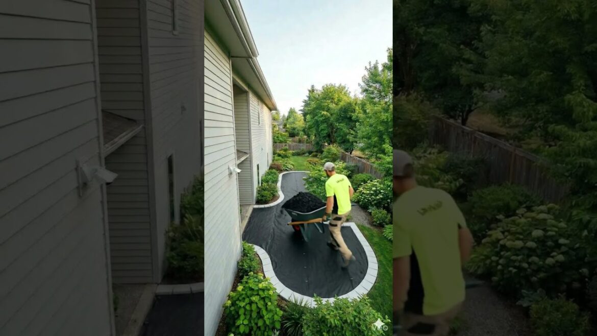 Backyard Transformation From Boring Lawn to Floral Masterpiece! 🏡 #diy
