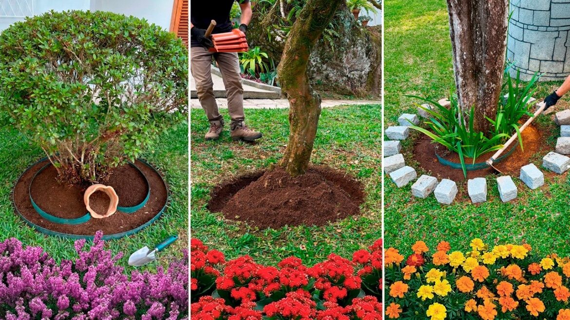 3 Ideas for flowerbeds around trees that you need to see!🌿🌼🌿🌺