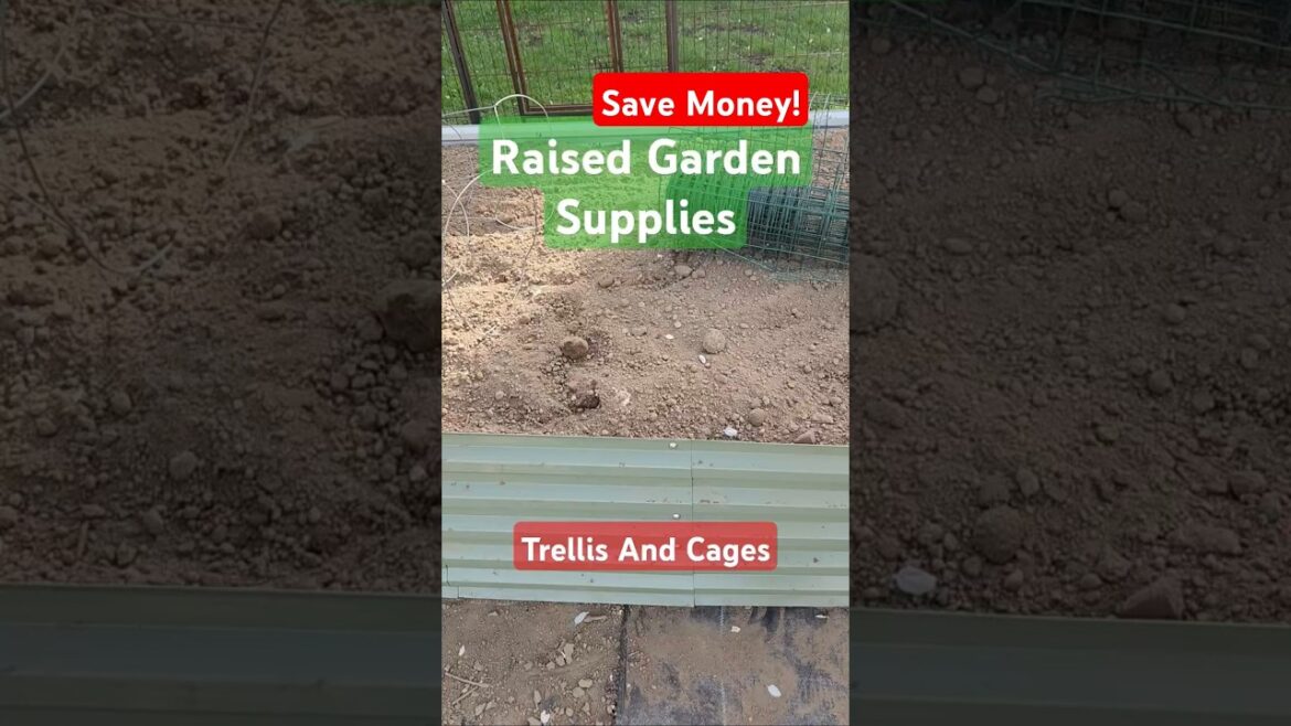 Cheap Garden Supplies #gardeningtips #diy #usewhatyouhave #shorts